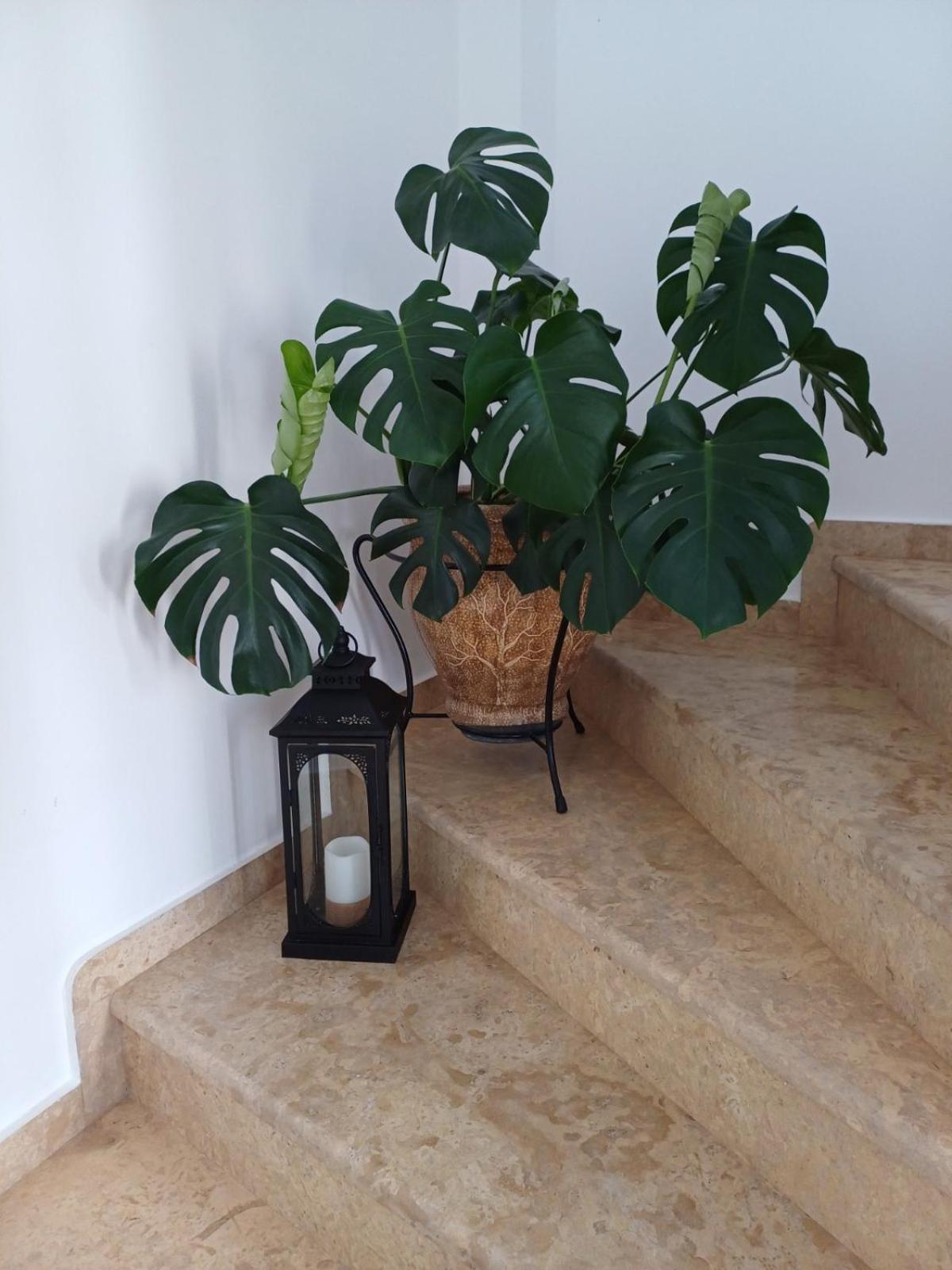 Luxury Apartment Amarynthos Esterno foto